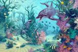 10695 Hide And Seek Dolphins  